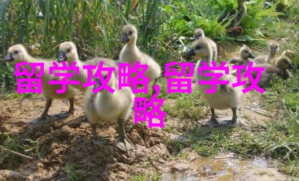 法国留学面试误区有哪些