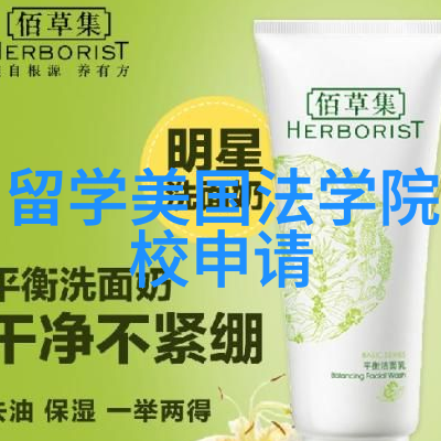 一个被忘却的皇帝----建文帝