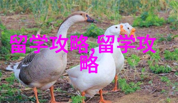 2023美国留学语言考试内容一览