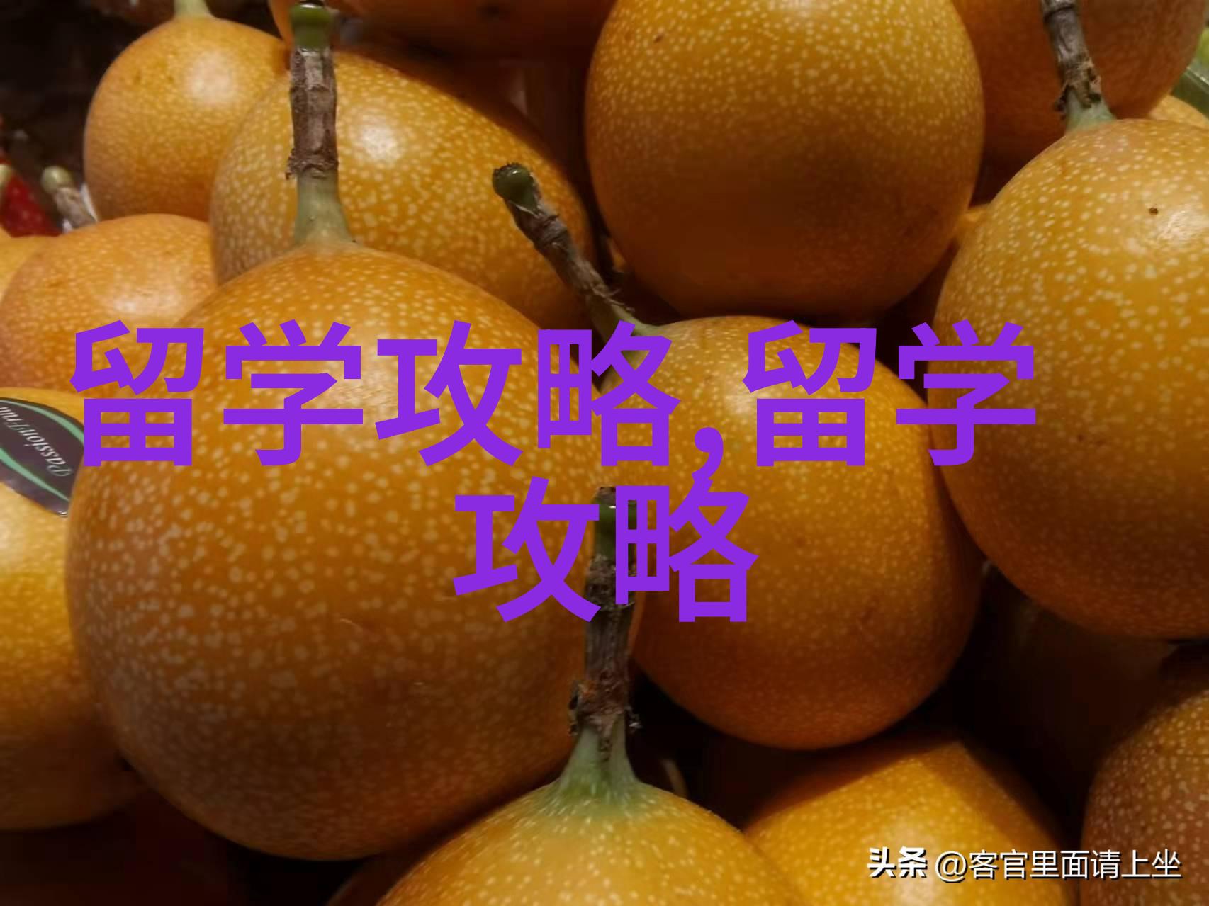 就业率超强的日本单科大学介绍