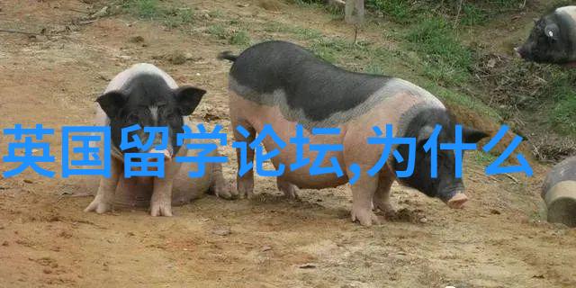 英国留学有多少学生英语