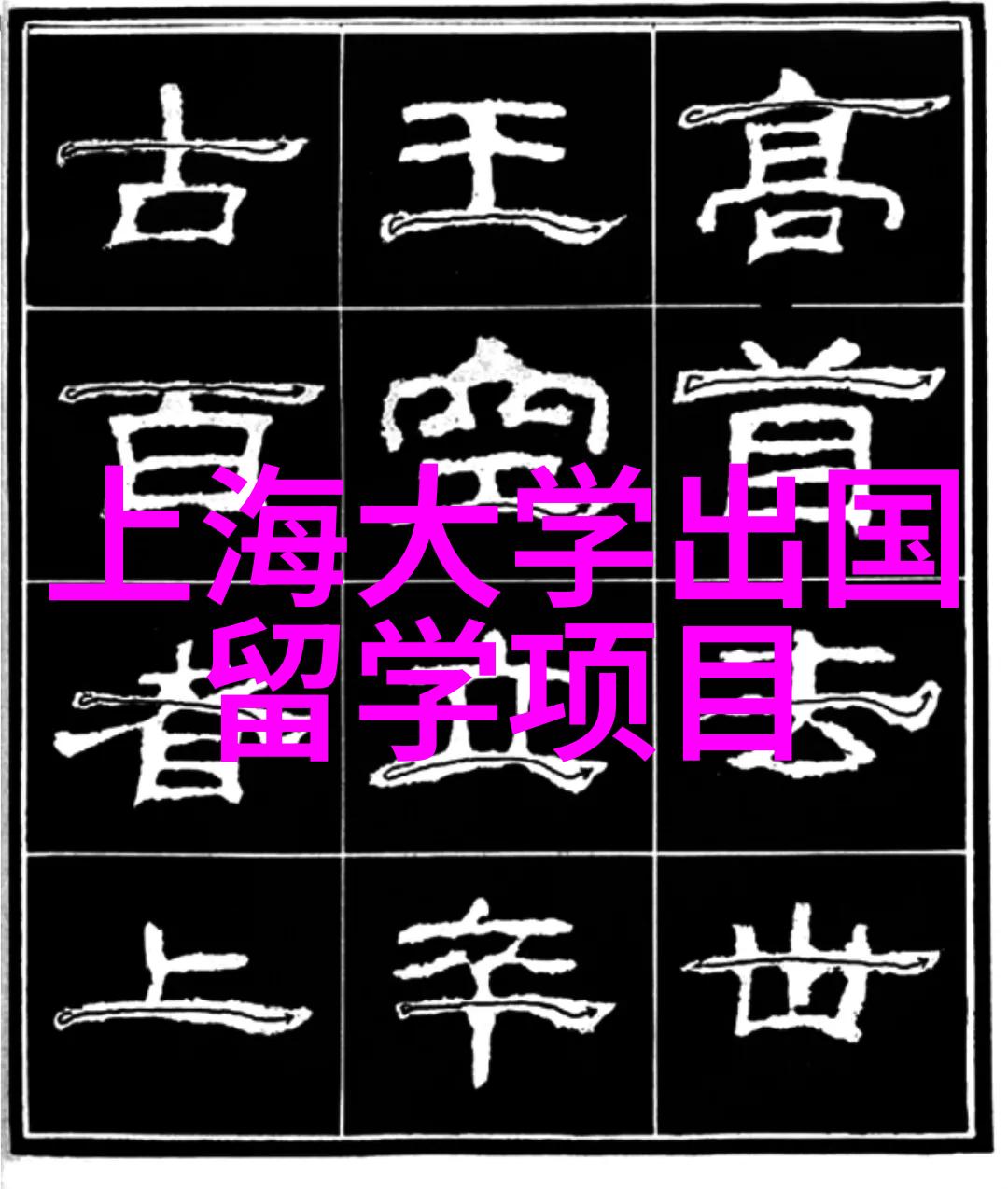新加坡国立大学2025年入学新增专业更新