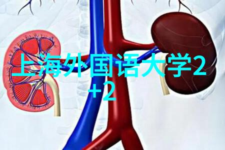 泰国硕博留学为你的职业发展添砖加瓦
