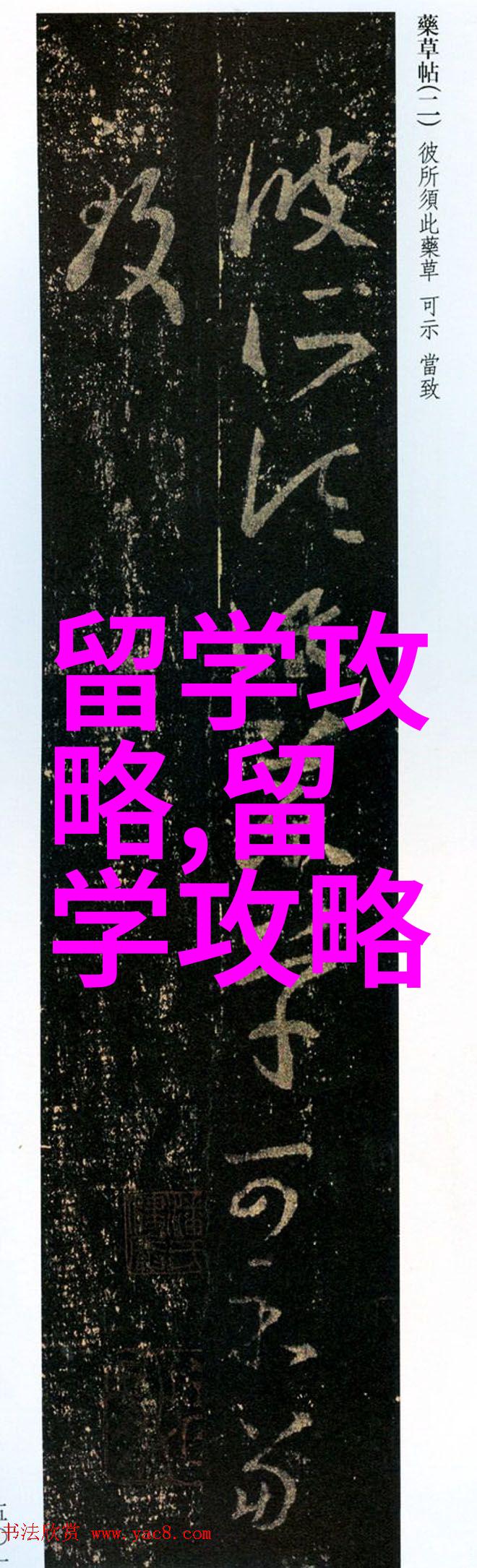 艺术生马来西亚留学的魅力与挑战