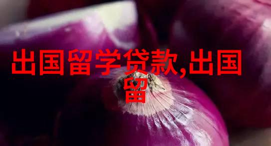 深度解析马来西亚留学生毕业走向