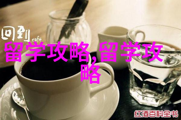美国本科留学各类考试的准备有哪些