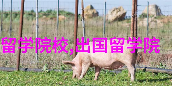 明末官场的丑闻和奇闻